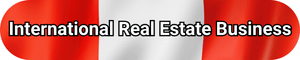 International Real Estate Business